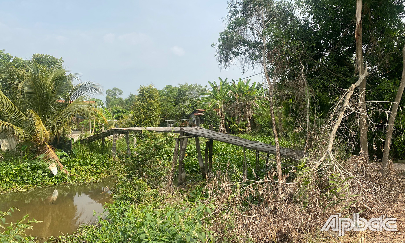 aaa
