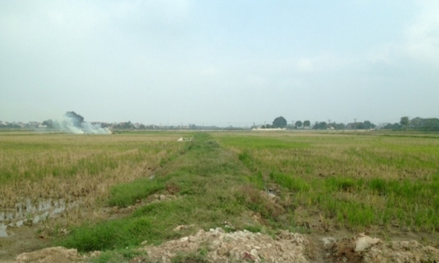 Ảnh minh họa: Bích Liên 