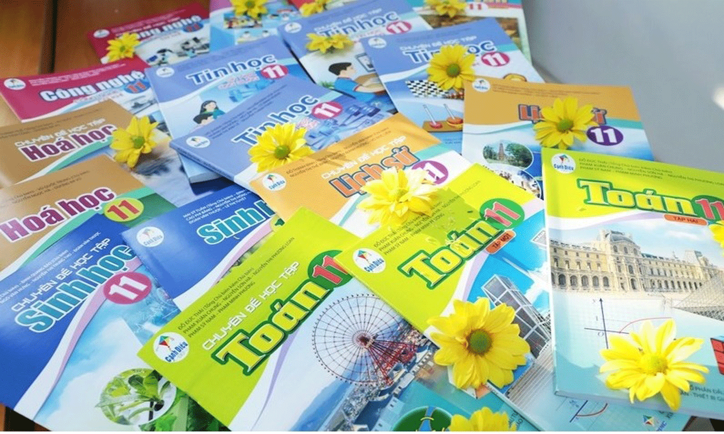 Sách Cánh Diều khối 11. 