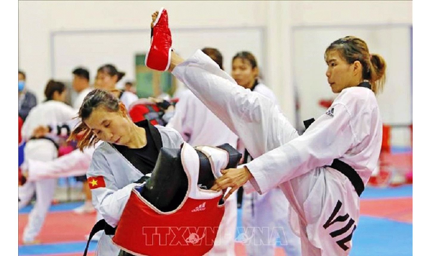 Các VĐV nỗ lực tập luyện hướng tới SEA Games 32. Ảnh: TTXVN