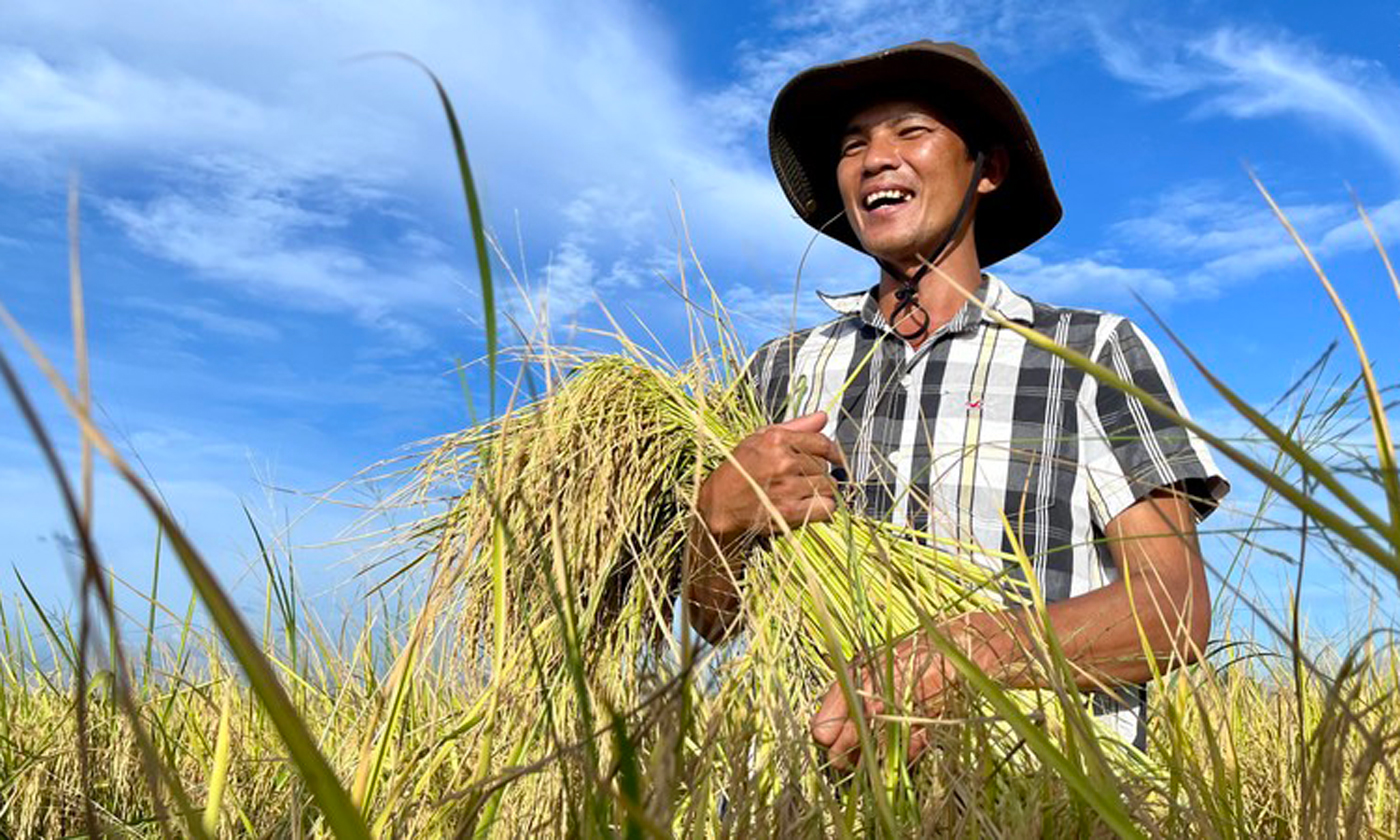 Đề án đặt mục tiêu nâng cao giá trị, nâng cao thu nhập cho người nông dân. Ảnh: Đình Tuyển