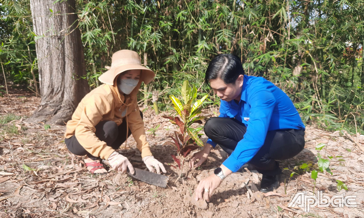 Trồng cây trên huyện lộ 58, ấp Rạch Trắc, xã Mỹ Phước Tây.