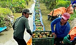 Bao giờ thoát khỏi vòng lẩn quẩn 