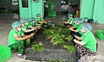 Hợp tác xã Nông nghiệp - Thương mại - Dịch vụ Phú Quới: Đồng hành, chăm lo lợi ích cho thành viên