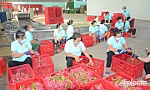Sáng mãi tư tưởng Hồ Chí Minh trong phong trào hợp tác xã