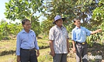 Cựu chiến binh làm kinh tế giỏi