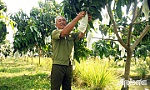 Cựu chiến binh gương mẫu làm theo lời Bác