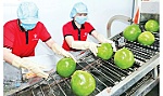 Lấy lại đà tăng trưởng xuất khẩu nông sản