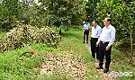 Kiểm tra khắc phục thiệt hại do mưa giông tại huyện Cai Lậy