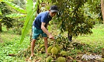 Tiền Giang: Chủ động ứng phó mưa giông, lốc xoáy