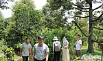 Kết nối giao thương doanh nghiệp Tiền Giang - Trung Quốc
