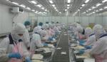 Xuất khẩu tôm giảm gần 40% trong quí 1