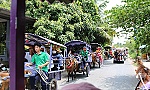 Nhiều du khách 
