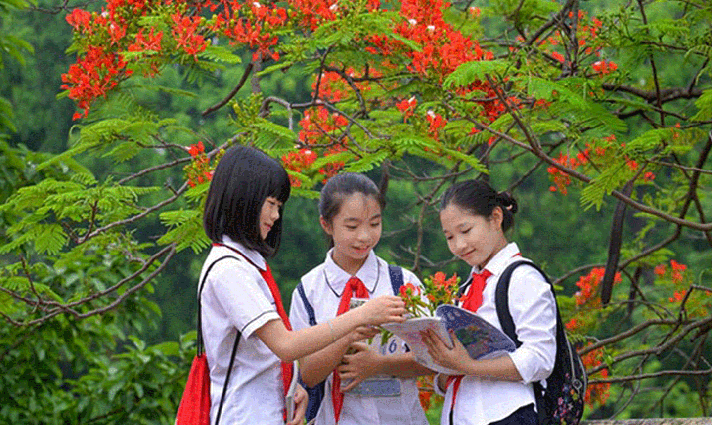 baochinhphu.vn