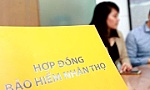 Thị trường bảo hiểm - Lành mạnh hóa cần hơn 
