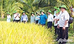 BÀI CUỐI: Thay đổi tập quán canh tác