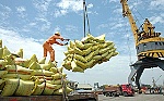 Để gạo Việt được giá