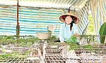 Tự tin khởi nghiệp, vươn lên