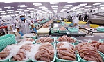 Xuất siêu kỷ lục sau 4 tháng: Mừng hay lo?
