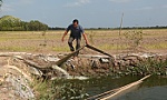 Chủ động cấp nước sinh hoạt cho người dân vùng ven biển trong tình huống EL Nino cực đoan