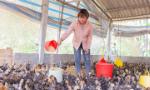 Nỗ lực để giảm tới 1,5% hộ nghèo trong năm 2023