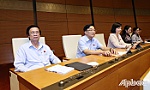 Cần rà soát, đánh giá các chính sách khuyến khích, hỗ trợ phát triển nông nghiệp