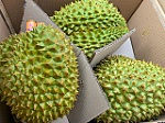 Sầu riêng Việt Nam 'đắt hàng' tại thị trường Trung Quốc