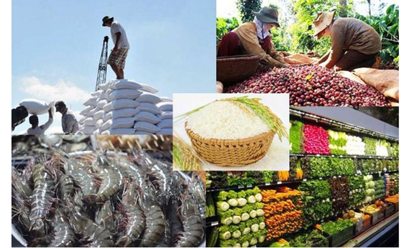 Quyết liệt tháo gỡ khó khăn, thúc đẩy sản xuất, xuất khẩu lâm sản và thuỷ sản.