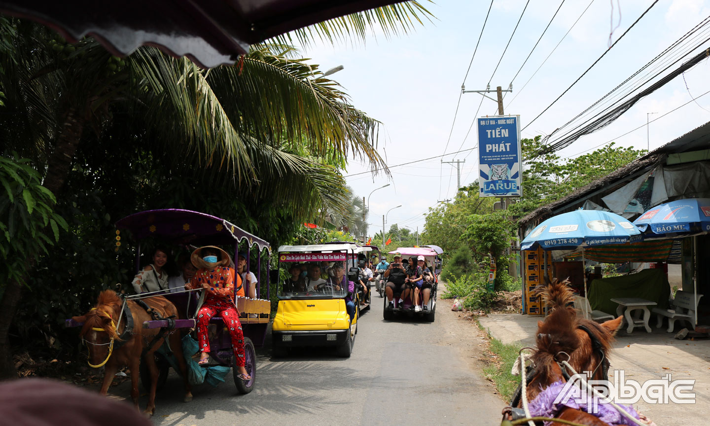 Du khách đi xe ngựa tại cù lao Thới Sơn.                                                    Ảnh: LÝ OANH