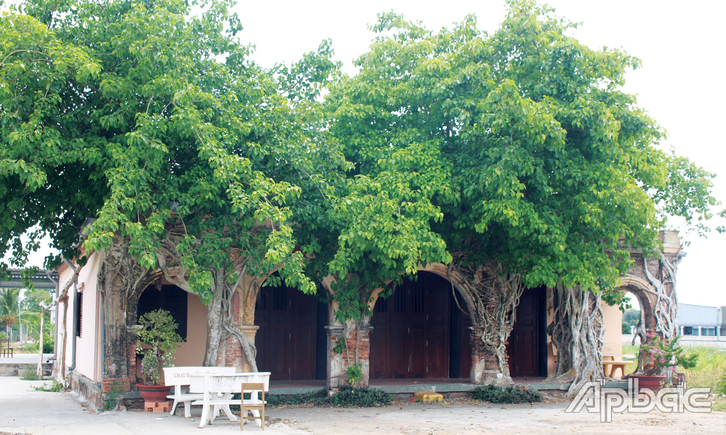 Ngày nay, đình Tân Đông được đầu tư trùng tu, tôn tạo, sửa chữa khang trang. 