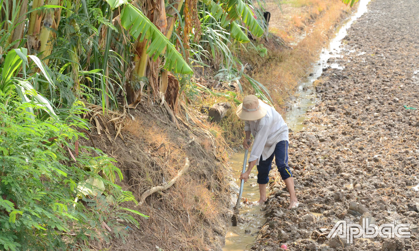 Anh Út làm đất chuẩn bị  xuống giống vụ lúa hè thu. 