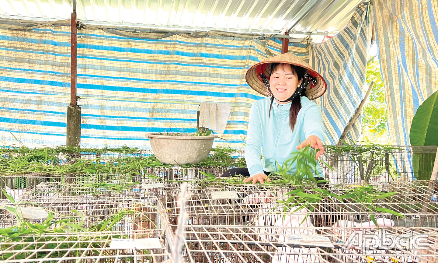 Mô hình nuôi thỏ của chị Loan ngày càng được mở rộng.