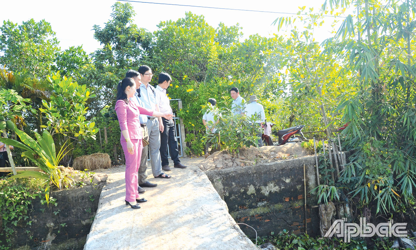 Thời gian qua, tại cù lao Tân Phong, tình hình sạt lở xảy ra phức tạp.
