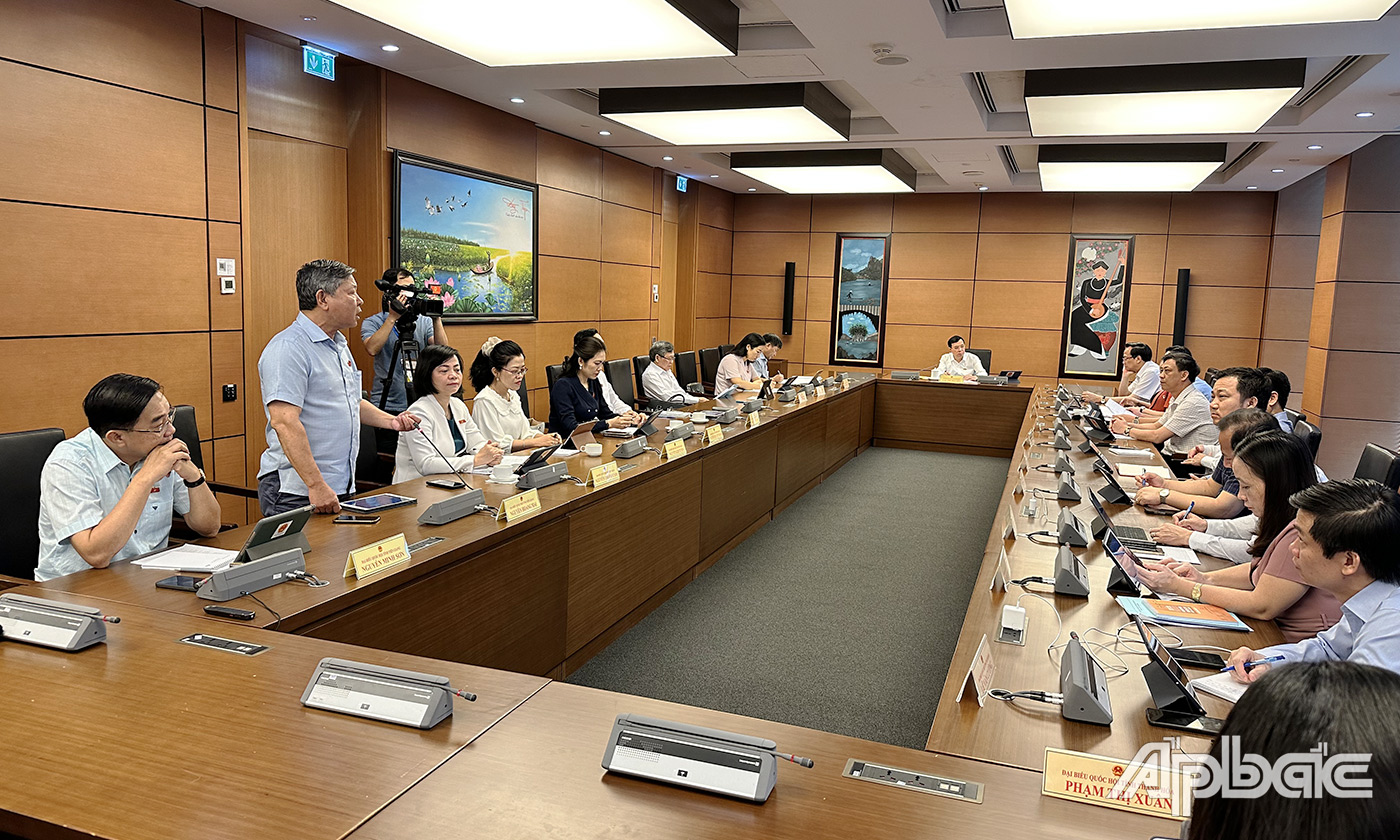 Đại biểu Nguyễn Hoàng Mai ĐBQH đơn vị tỉnh Tiền Giang phát biểu tại buổi thảo luận tổ
