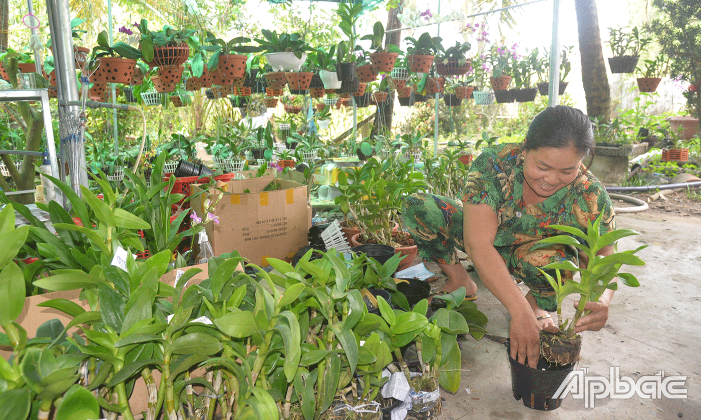 chị Nguyễn Thị Ngọc Trang, ấp Lương Phú B là một trong nhiều phụ nữ của xã đã mạnh dạn vay vốn quyết tâm khởi nghiệp.