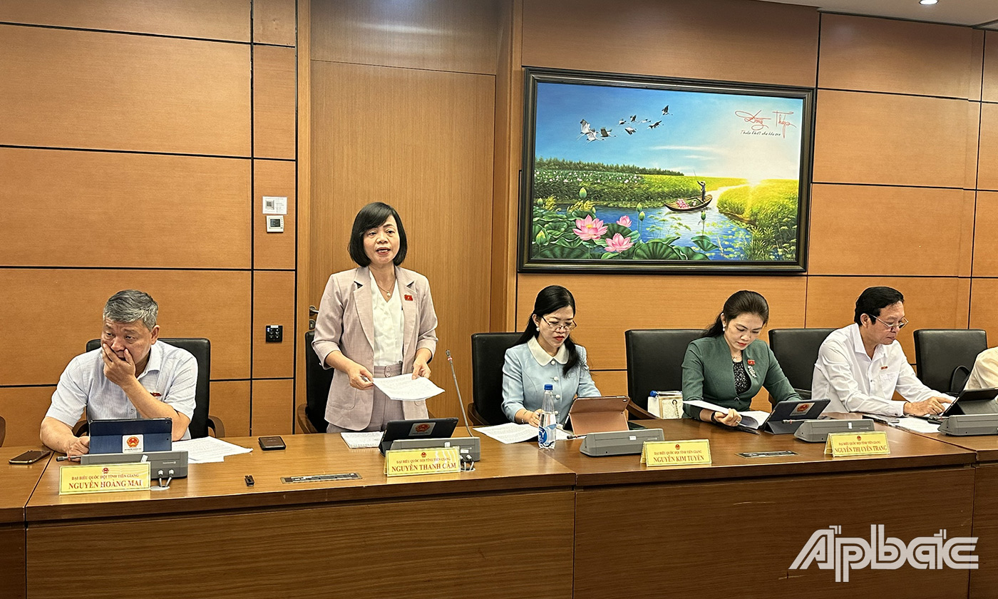 Đại biểu Nguyễn Thanh Cầm và Đại biểu Nguyễn Văn Dương phát biểu tại buổi thảo luận tổ