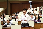 Không hợp thức hóa sai phạm trong đầu tư điện gió, điện mặt trời