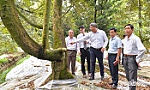 Tổng Lãnh sự quán Trung Quốc tại TP. Hồ Chí Minh tham quan Tiền Giang