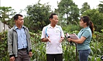 Vụ tấn công tại Đắk Lắk: Phát huy thế trận lòng dân, bảo vệ vững chắc an ninh Tổ quốc