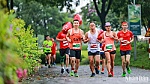 500 vận động viên tham gia giải chạy vinh danh những người làm báo