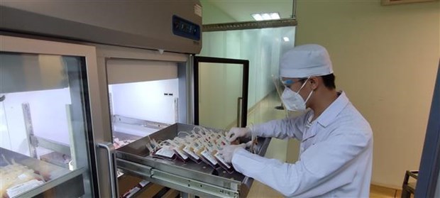 (Ảnh minh họa. Thu Hiền/TTXVN)