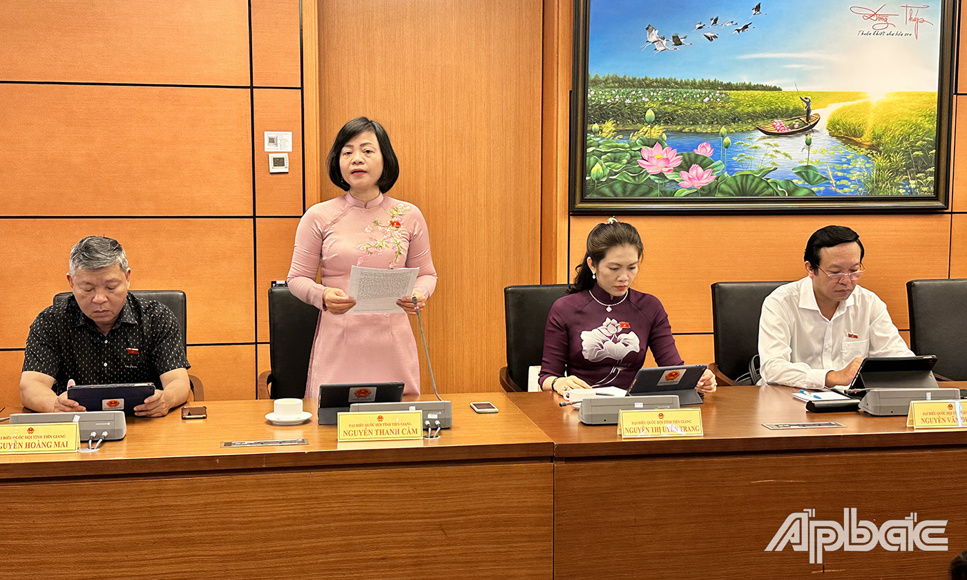 Đại biểu Nguyễn Thanh Cầm phát biểu ý kiến thảo luận