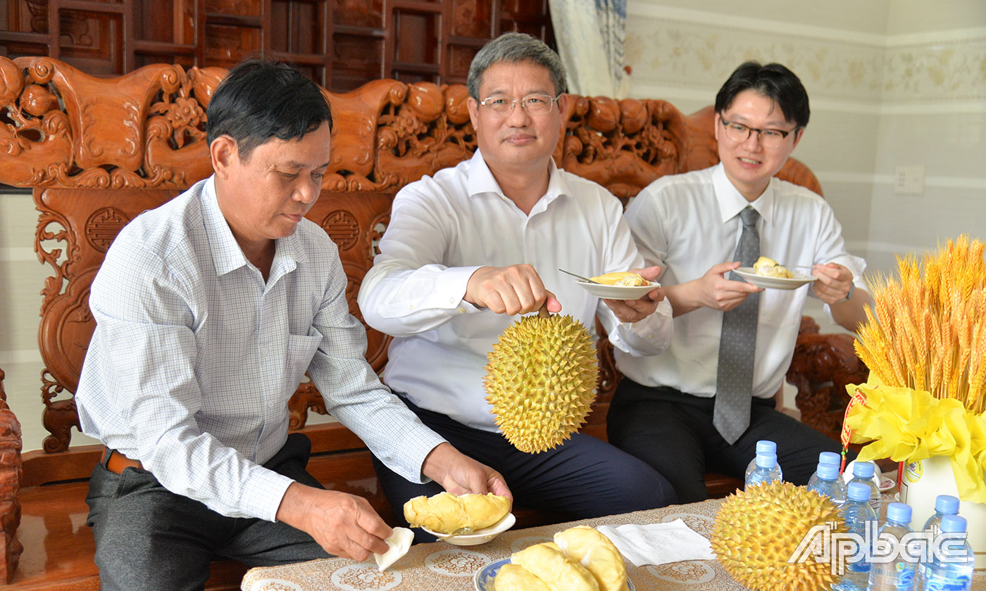 Tổng Lãnh sự Trung Quốc tại TP. Hồ Chí Minh Ngụy Hoa Tường tham quan mô hình trồng sầu riêng và thưởng thức sầu riêng.