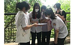 Nóng bỏng mùa tuyển sinh