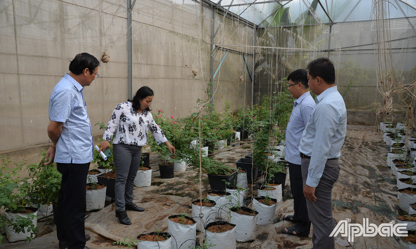  Đoàn giám sát HĐND tỉnh Tiền Giang tâm Kỹ thuật và Công nghệ sinh học 