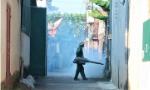 Hơn 66.000 ca mắc, 14 bệnh nhân tử vong do sốt xuất huyết, tuýp virus nào gây bệnh này năm nay?