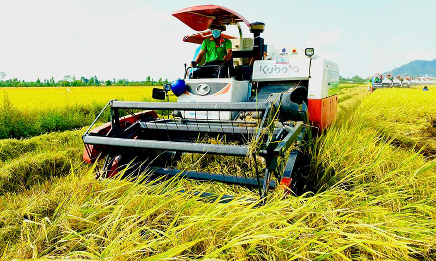 Áp dụng cơ giới hóa trong sản xuất lúa gạo ở đồng bằng sông Cửu Long. Ảnh: Lê Hoàng Vũ