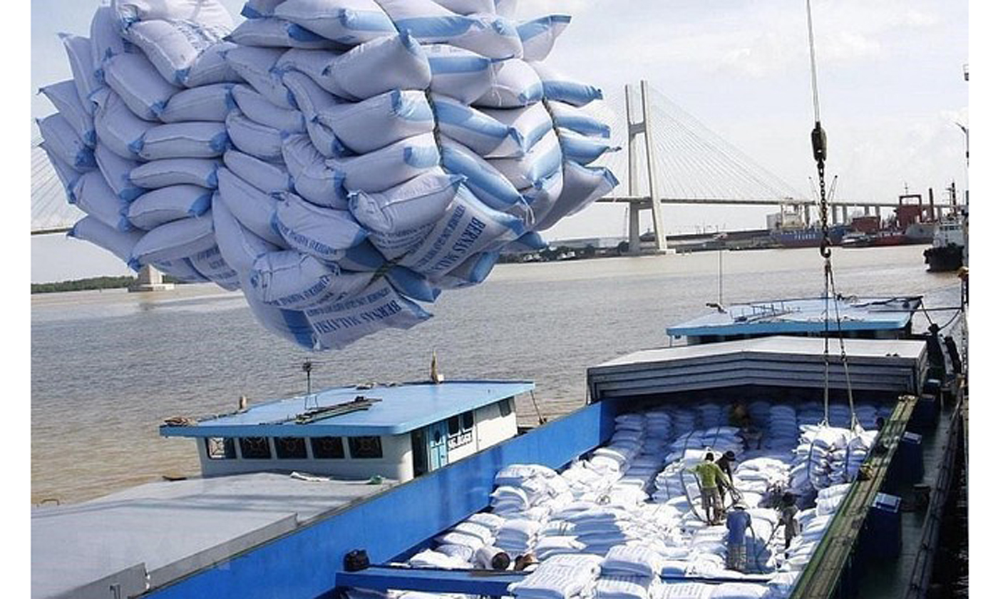 ự báo, giá gạo xuất khẩu sẽ còn tiếp tục tăng trong thời gian tới. Ảnh minh họa