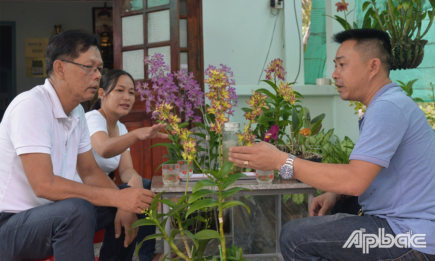 Thành viên CLB trao đổi, chia sẻ.