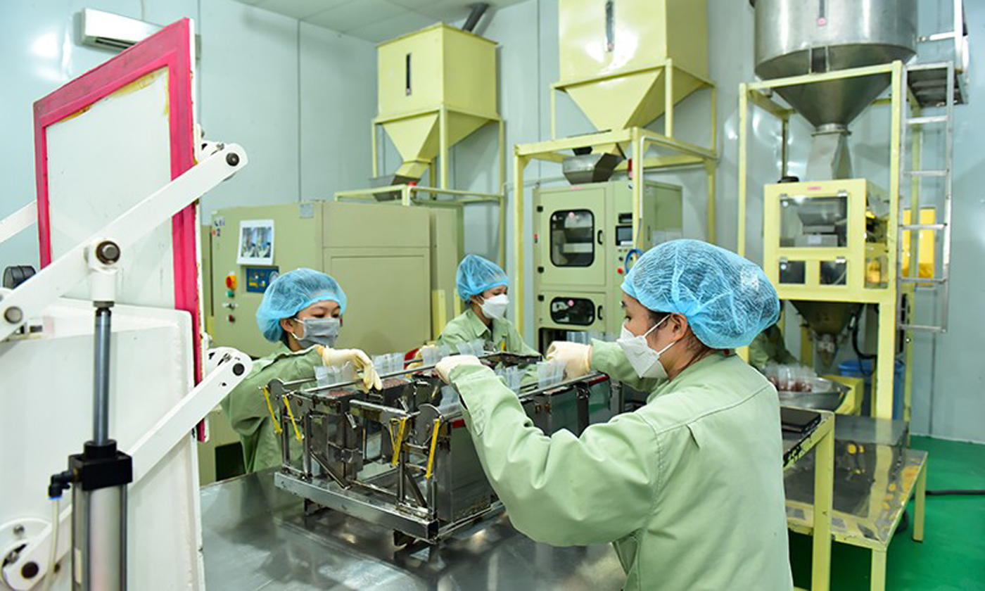 Đóng gói gạo 
